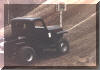 Red Fox